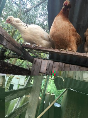 image.jpeg (113.48 KiB) Osservato 594 volte image.jpeg