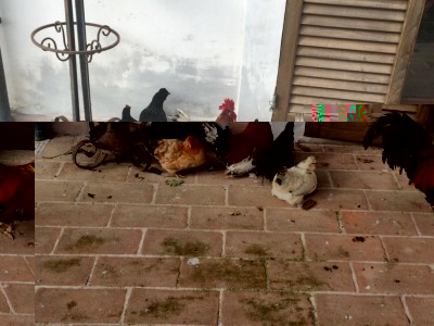 image.jpeg (101.52 KiB) Osservato 594 volte image.jpeg