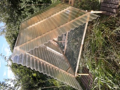 20160806_182903.jpg (277.2 KiB) Osservato 889 volte 20160806_182903.jpg