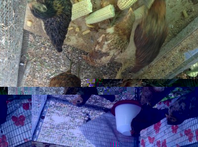 image.jpeg (162.15 KiB) Osservato 922 volte image.jpeg