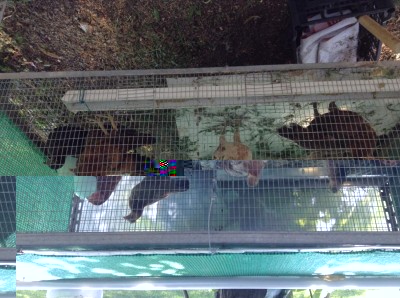 image.jpeg (145.98 KiB) Osservato 922 volte image.jpeg