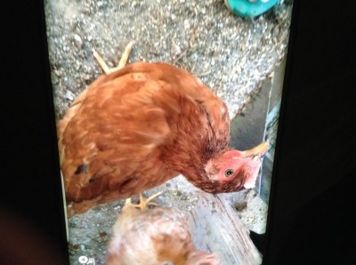 5 / image.jpeg image.jpeg