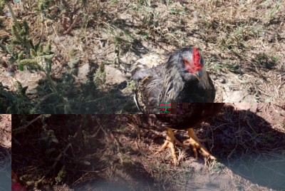 ewewqewqeqw / DSC_0132.JPG DSC_0132.JPG