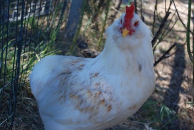 altro / DSC_0135.JPG DSC_0135.JPG