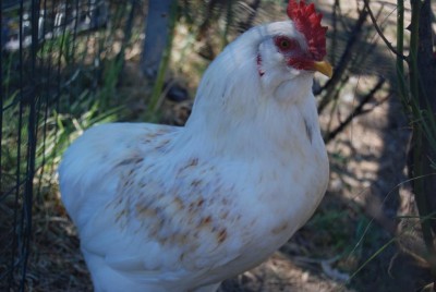 rerwrw / DSC_0136.JPG DSC_0136.JPG