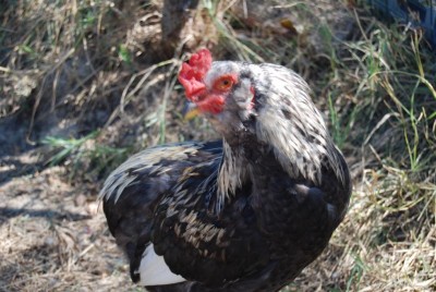 trtetertete / DSC_0147.JPG DSC_0147.JPG