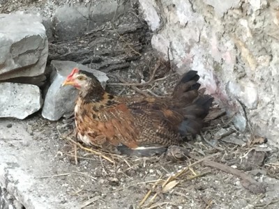 image.jpg (128.92 KiB) Osservato 615 volte image.jpg