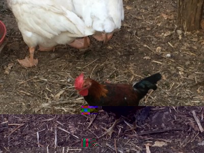 image.jpg (126 KiB) Osservato 615 volte image.jpg