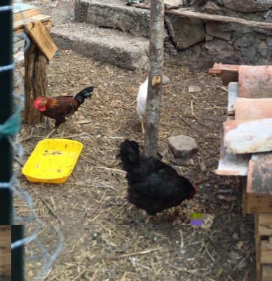 image.jpg (163.02 KiB) Osservato 615 volte image.jpg