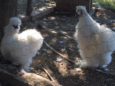 Listener.jpgriproduttori.jpg (61.14 KiB) Osservato 505 volte Listener.jpgriproduttori.jpg