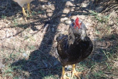 Sempre quello grigio di prima / DSC_0142.JPG DSC_0142.JPG