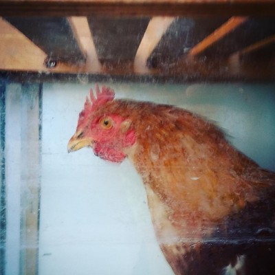 IMG_20160930_131925.jpg (93.36 KiB) Osservato 862 volte IMG_20160930_131925.jpg