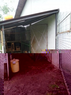 20161014_165857.jpg (98.68 KiB) Osservato 7912 volte 20161014_165857.jpg