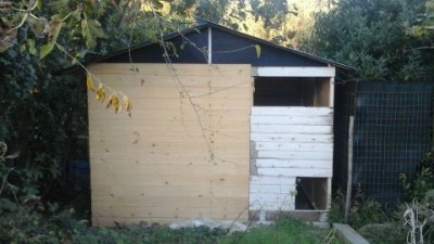 IMG_20161028_12451.jpg (28.82 KiB) Osservato 923 volte IMG_20161028_12451.jpg