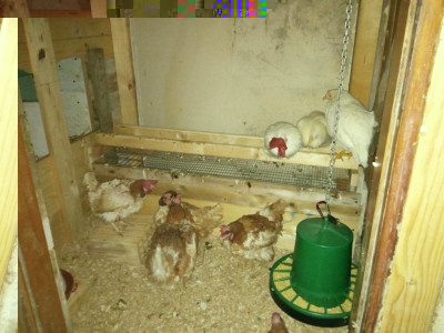 a (1).jpg (91.84 KiB) Osservato 924 volte a (1).jpg