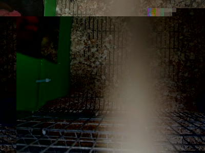 Qui si vede il lato B.. / 20170204_103814.jpg 20170204_103814.jpg