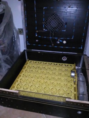 IMG_20170428_183831.jpg (69.85 KiB) Osservato 640 volte IMG_20170428_183831.jpg