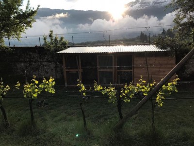 IMG-20170501-WA0042.jpg (114.64 KiB) Osservato 654 volte IMG-20170501-WA0042.jpg