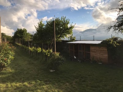 IMG-20170501-WA0044.jpg (99.38 KiB) Osservato 788 volte IMG-20170501-WA0044.jpg