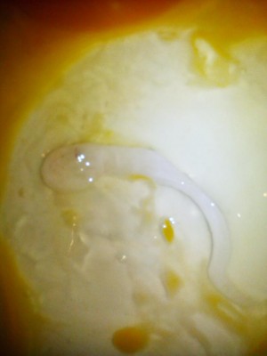 1495134075322-1868397669.jpg (39.77 KiB) Osservato 606 volte 1495134075322-1868397669.jpg