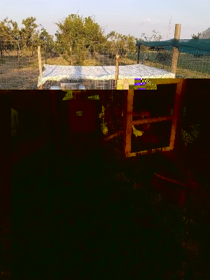 IMG_20170530_222016365.jpg (178.07 KiB) Osservato 590 volte IMG_20170530_222016365.jpg