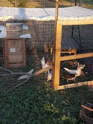 IMG_20170530_222029252.jpg (178.71 KiB) Osservato 590 volte IMG_20170530_222029252.jpg