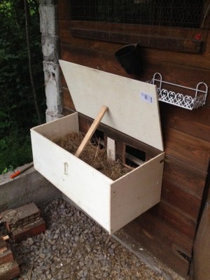 Nido esterno collettivo / IMG_0095.JPG IMG_0095.JPG