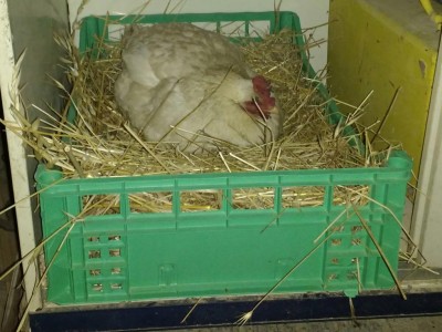 IMG_20170627_200217.jpg (102.61 KiB) Osservato 692 volte IMG_20170627_200217.jpg