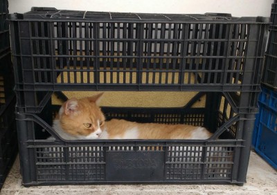 IMG_20170628_112002.jpg (106.28 KiB) Osservato 692 volte IMG_20170628_112002.jpg