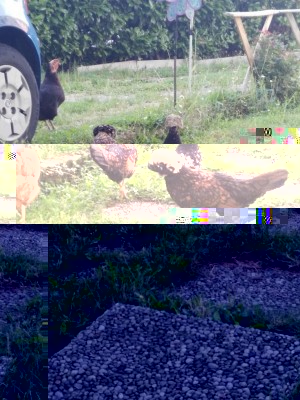 IMG_20170702_185818.jpg (140.87 KiB) Osservato 896 volte IMG_20170702_185818.jpg