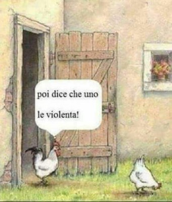 IMG_1507.JPG (60.6 KiB) Osservato 832 volte IMG_1507.JPG