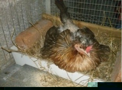 Senza nome20160526212755.jpg (37.03 KiB) Osservato 1438 volte Senza nome20160526212755.jpg