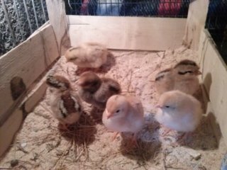 CAM02090 %28FILEminimizer%29.jpg CAM02090 %28FILEminimizer%29.jpg