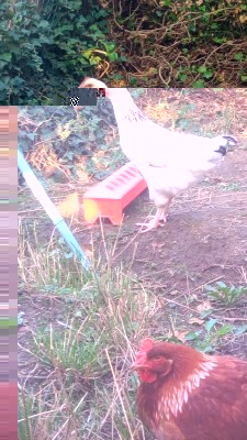 Gina / P_20170820_083118.jpg P_20170820_083118.jpg