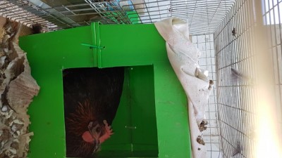 20170926_132929.jpg (74.83 KiB) Osservato 1020 volte 20170926_132929.jpg