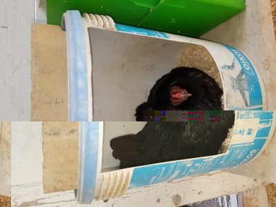 20170926_133010.jpg (88.61 KiB) Osservato 1020 volte 20170926_133010.jpg