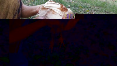 Pulcinella / P_20171001_164558.jpg P_20171001_164558.jpg