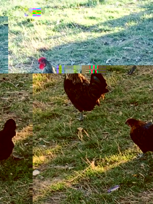 nanetto.jpg (182.14 KiB) Osservato 923 volte nanetto.jpg