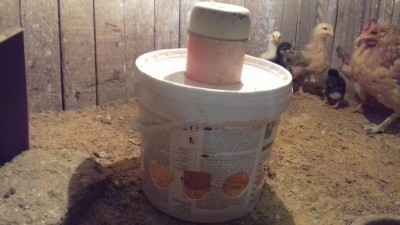 La mangiatoia frontale / 20171011_191751.jpg 20171011_191751.jpg