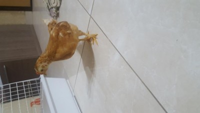 20171104_225102.jpg (34 KiB) Osservato 607 volte 20171104_225102.jpg