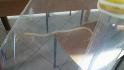 23660696_1512536778802256_1287747916_o.jpg (41.87 KiB) Osservato 563 volte 23660696_1512536778802256_1287747916_o.jpg