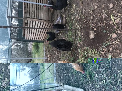 2FDA61D5-FE49-4760-A9E0-3ED5DBA9DF51.jpeg (220.56 KiB) Osservato 1205 volte 2FDA61D5-FE49-4760-A9E0-3ED5DBA9DF51.jpeg