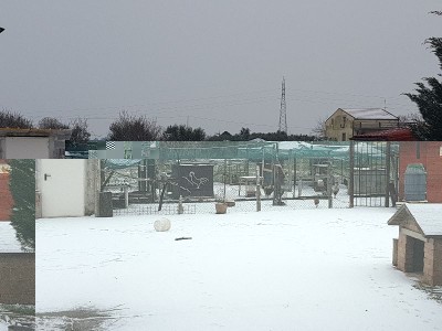 20180227_113634.jpg (79.95 KiB) Osservato 611 volte 20180227_113634.jpg