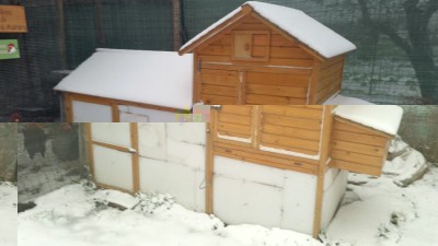 20180301_073823.jpg (56.3 KiB) Osservato 723 volte 20180301_073823.jpg