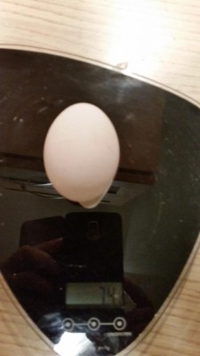 20180228_192003.jpg (36.86 KiB) Osservato 722 volte 20180228_192003.jpg