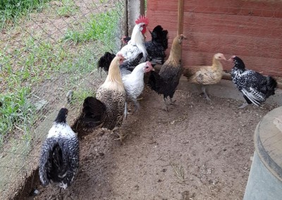 20180304_003738.jpg (187.06 KiB) Osservato 689 volte 20180304_003738.jpg