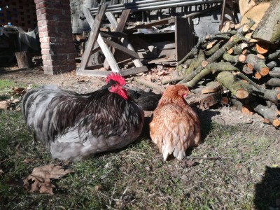 IMG_20180214_142054.jpg (195.38 KiB) Osservato 636 volte IMG_20180214_142054.jpg