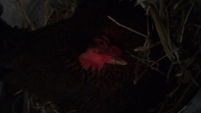 P_20180320_163630.jpg (30.19 KiB) Osservato 587 volte P_20180320_163630.jpg