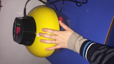 5744C0EA-810E-487A-AFAD-9C3CDBAC04AB.jpeg (42.71 KiB) Osservato 593 volte 5744C0EA-810E-487A-AFAD-9C3CDBAC04AB.jpeg