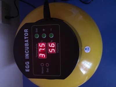 555EF83D-D17D-479F-840E-C497DB2660B2.jpeg (46.18 KiB) Osservato 593 volte 555EF83D-D17D-479F-840E-C497DB2660B2.jpeg